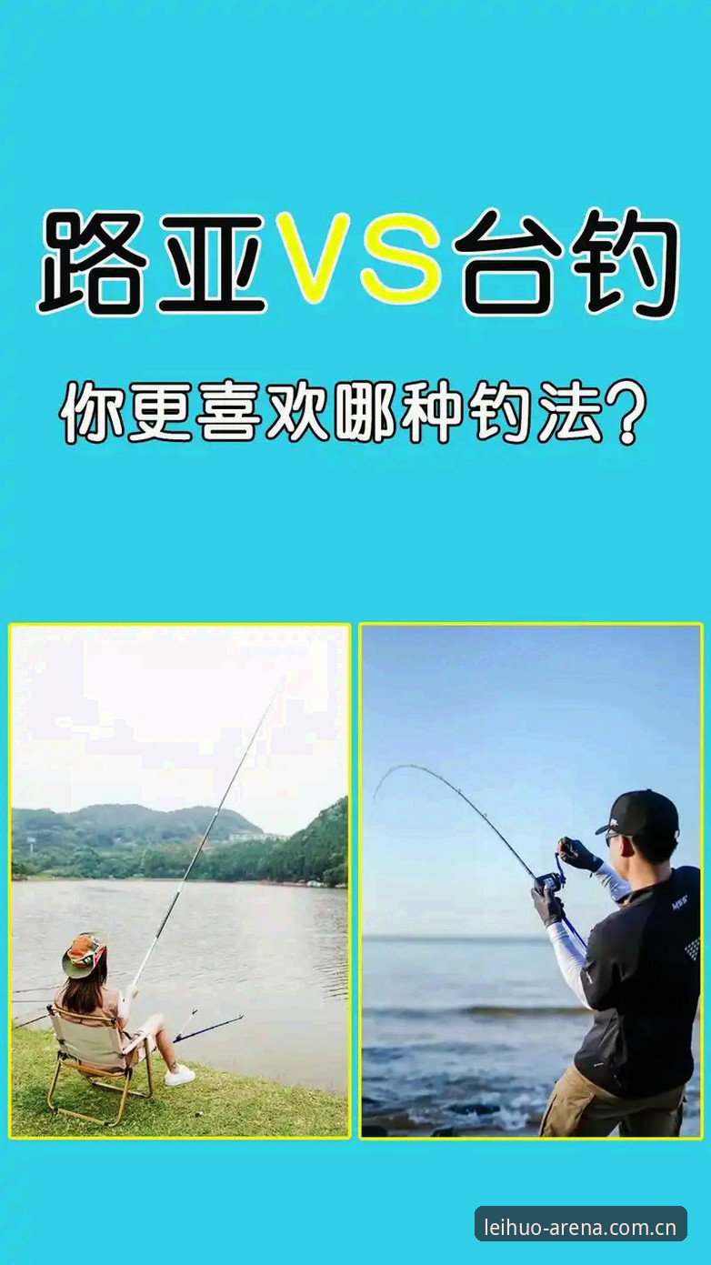 新手教程vs进阶攻略：雷火电竞使用教程哪个好？全面对比解析